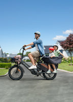 ENGWE LE20 Torque Sensor Cargo E-Bike – 250 W, Up to 350 km Range, 200 kg Load Capacity